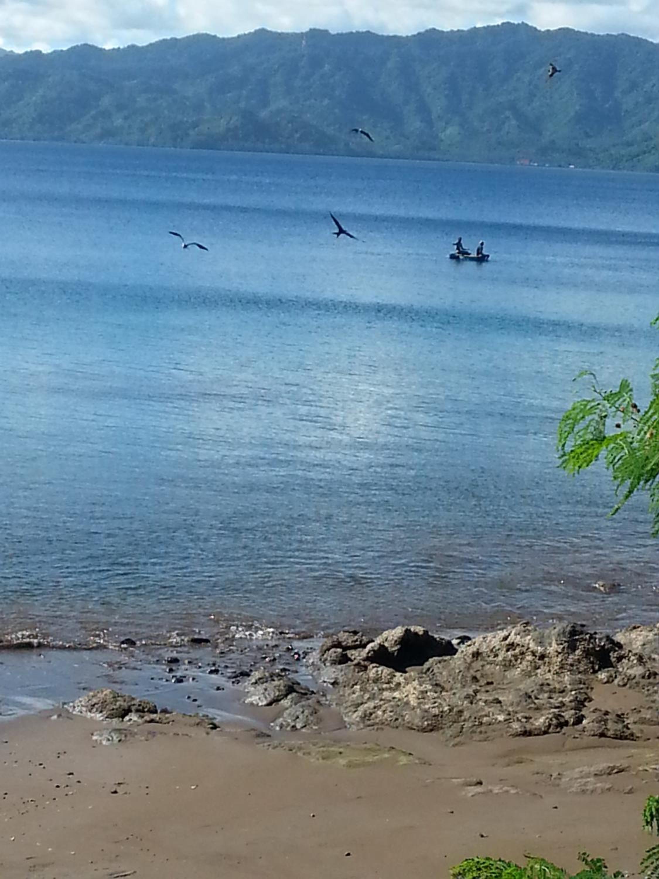 Gecko Lodge Fiji