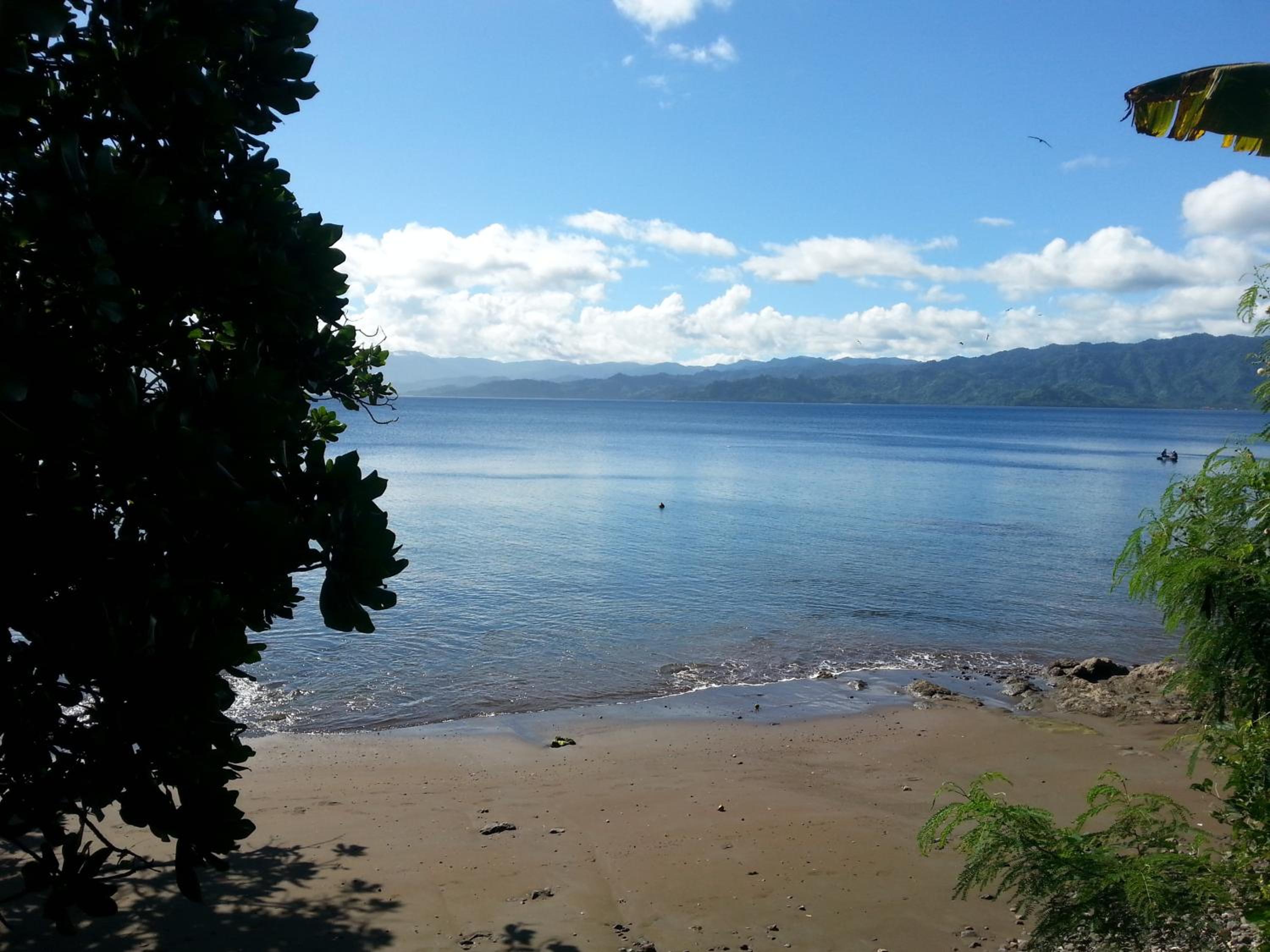 Gecko Lodge Fiji