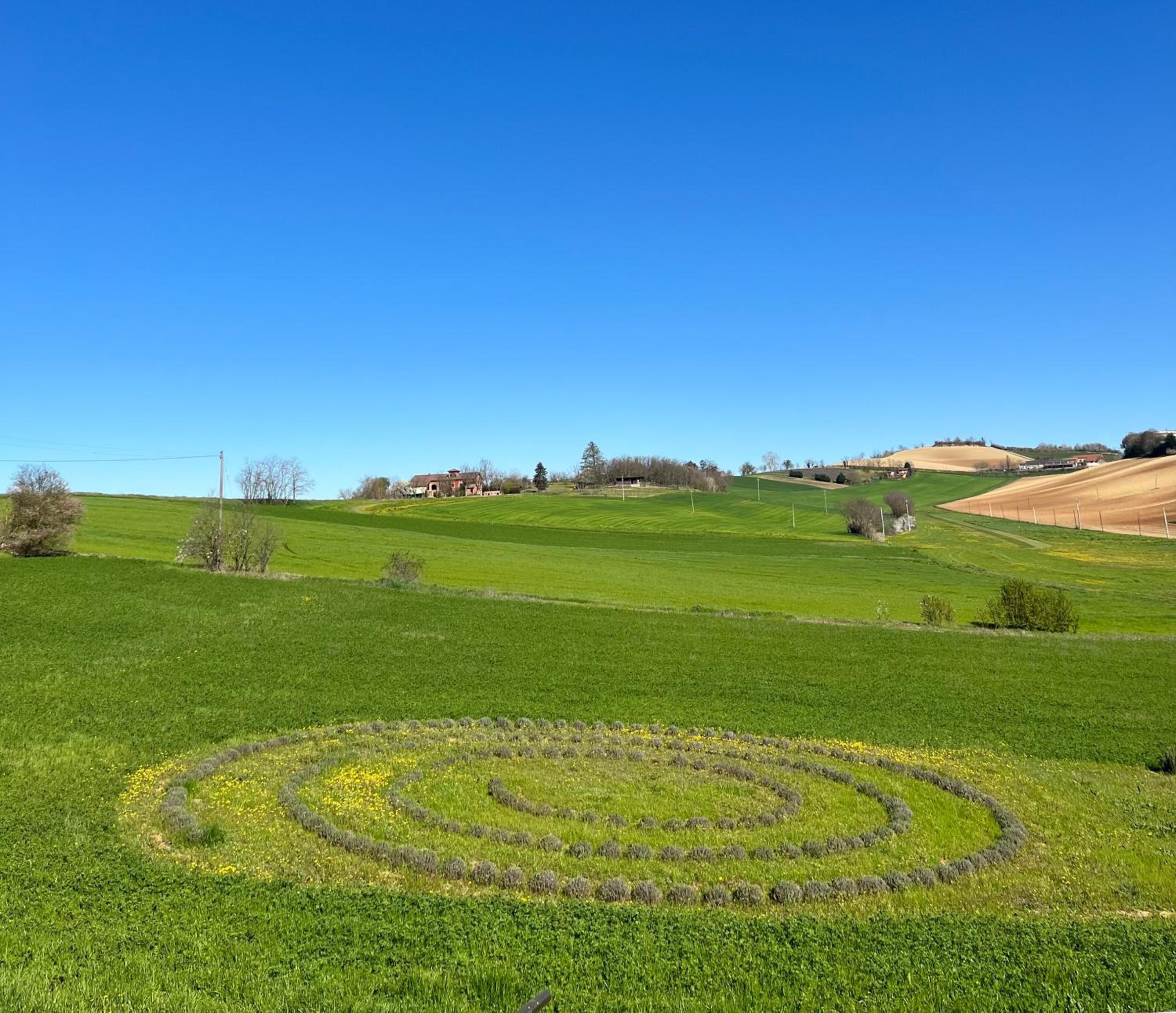 Cascina Mima - Monferrato view 2