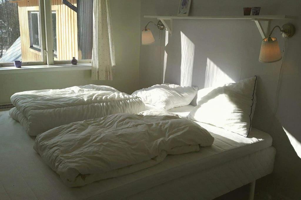 Photo 38