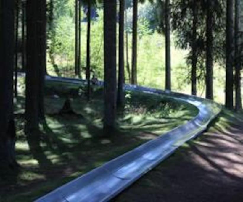 Photo 41