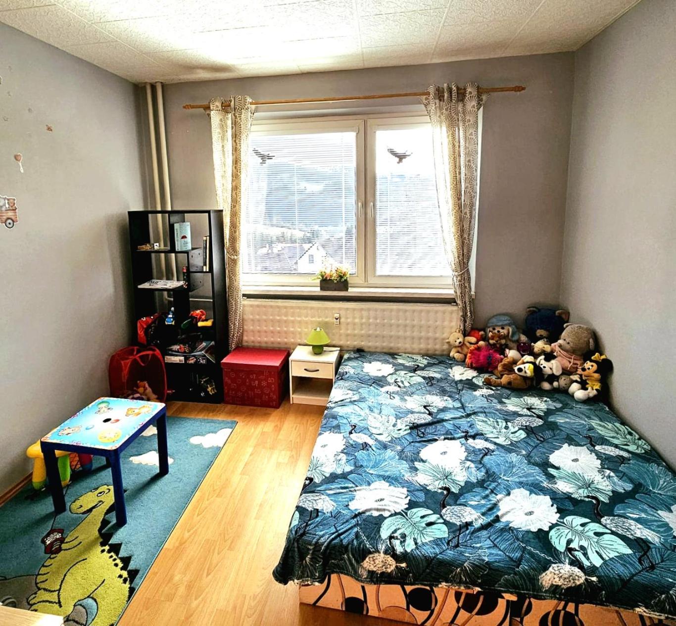 Central apartment