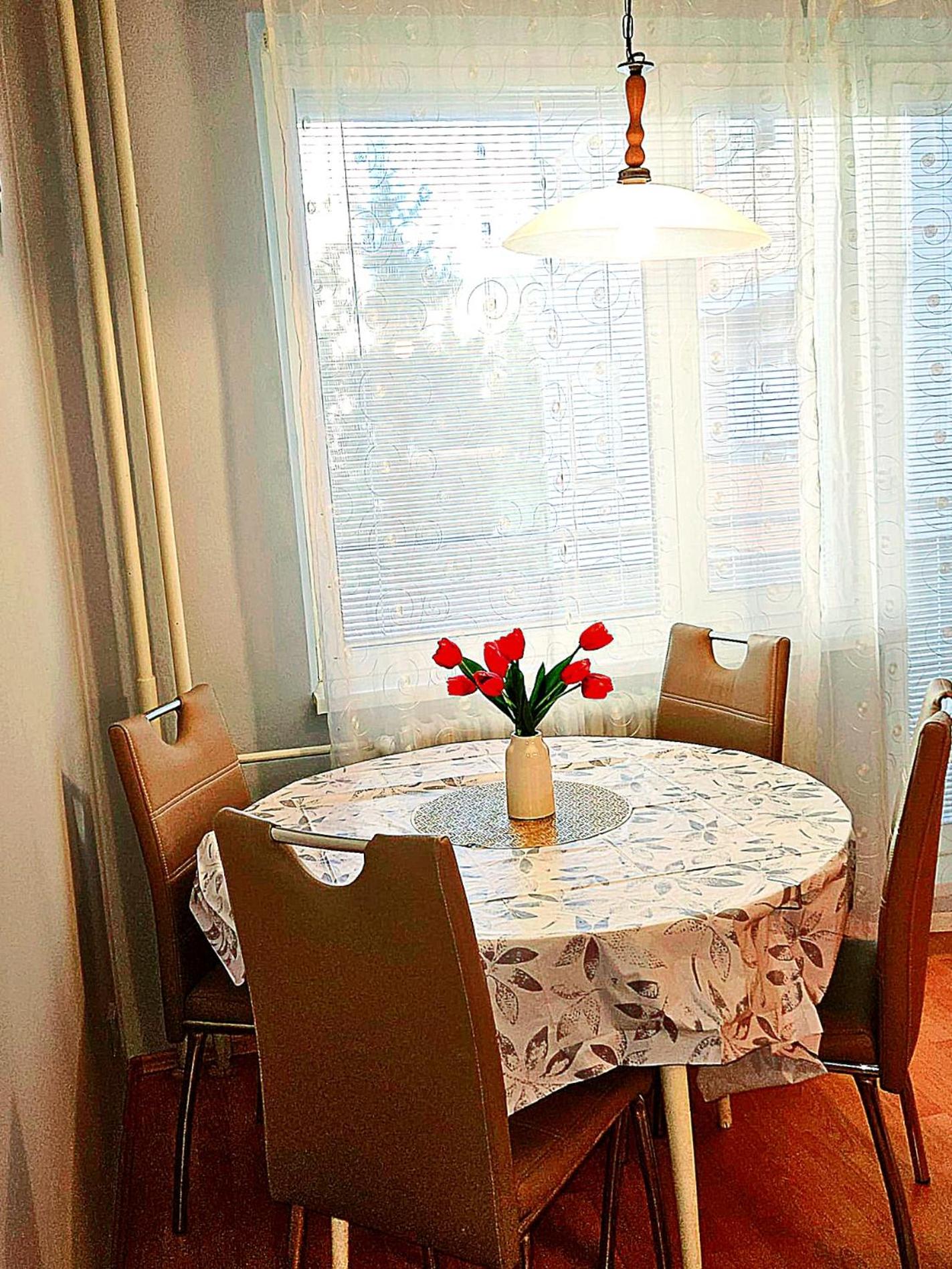 Central apartment