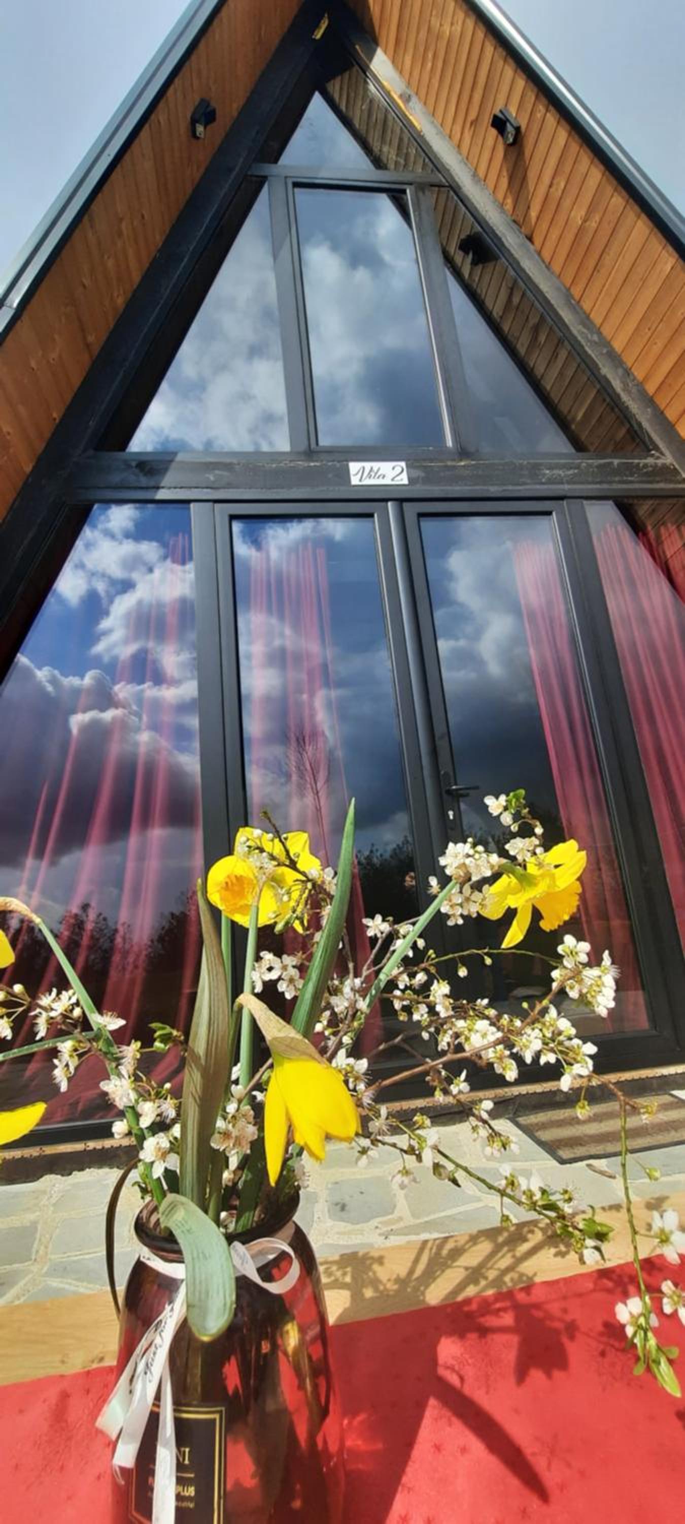 Vila Alpine Arlon Gjinar