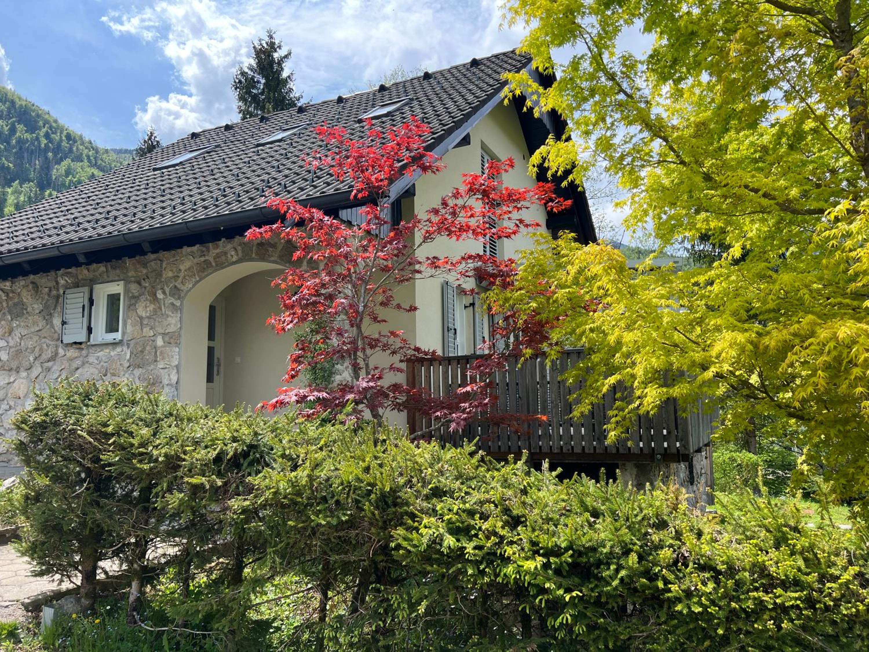 Photo 16