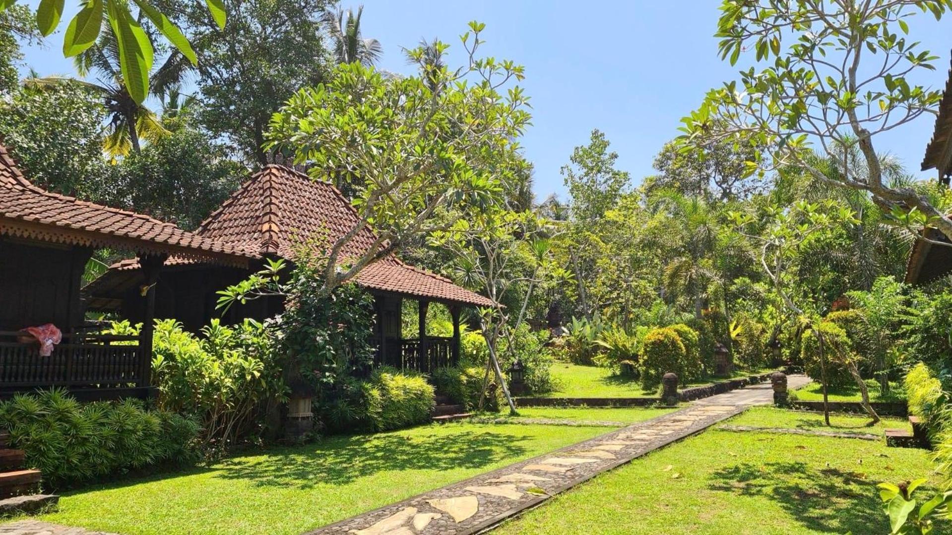 Alas Arum Ecolodge view 2