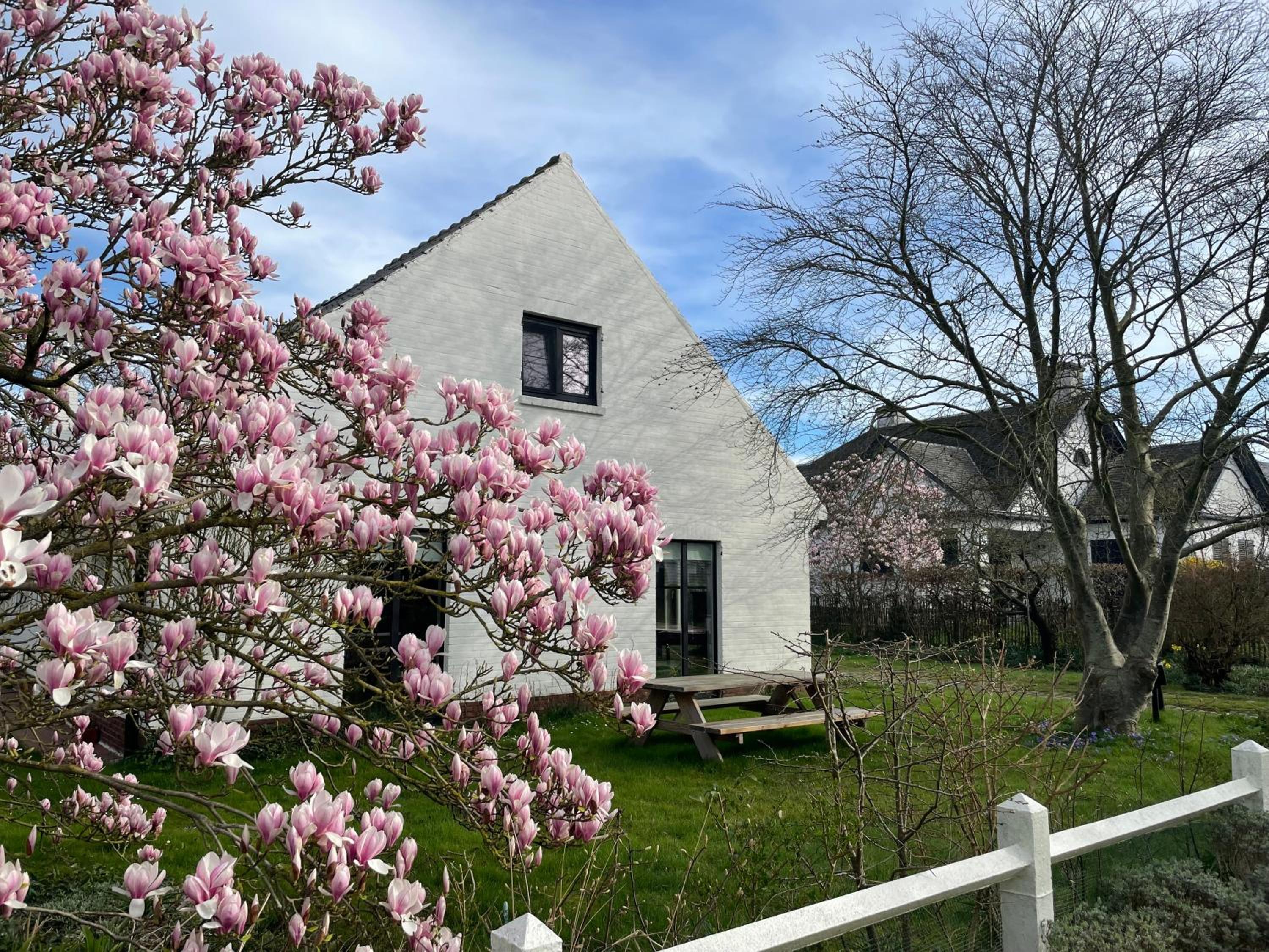 Villa Jacaranda