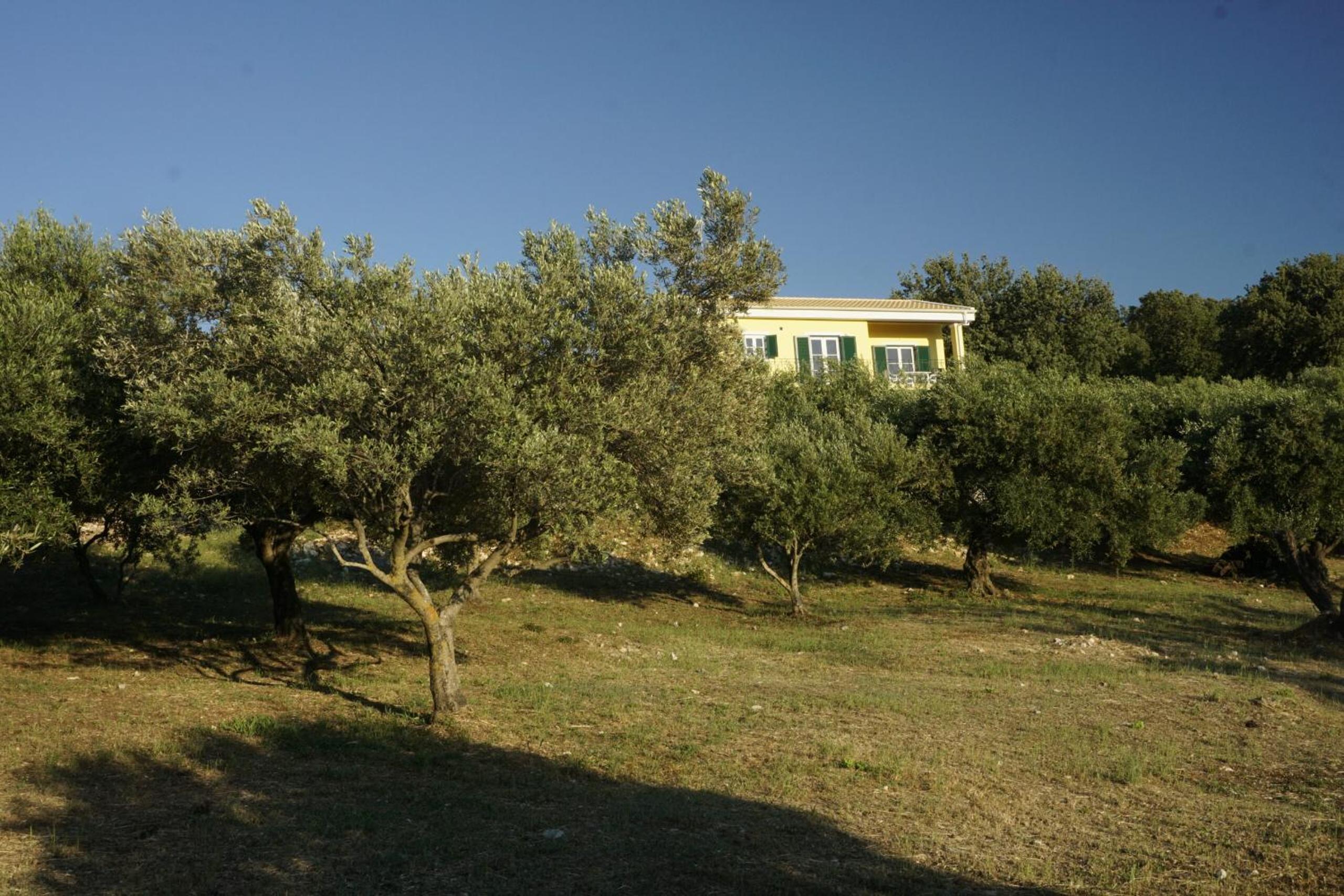 Photo 43