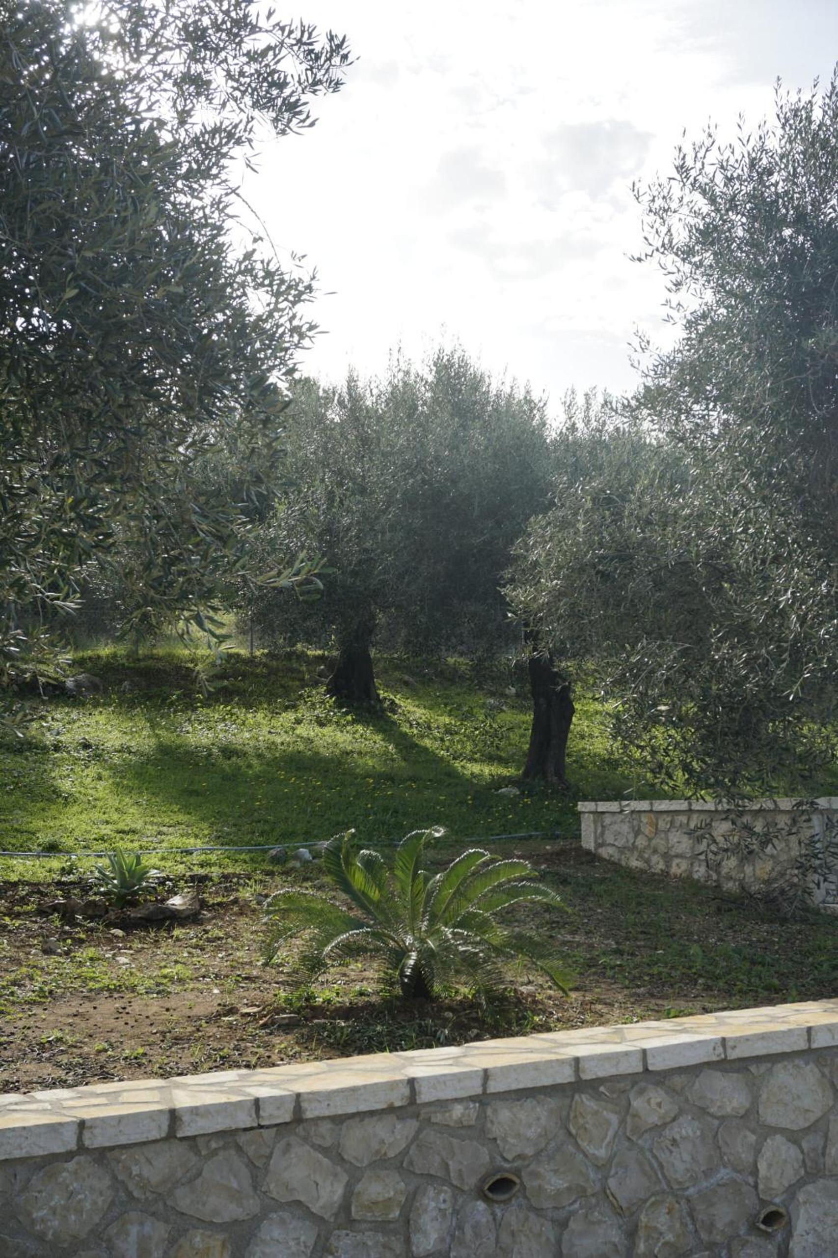 Photo 38