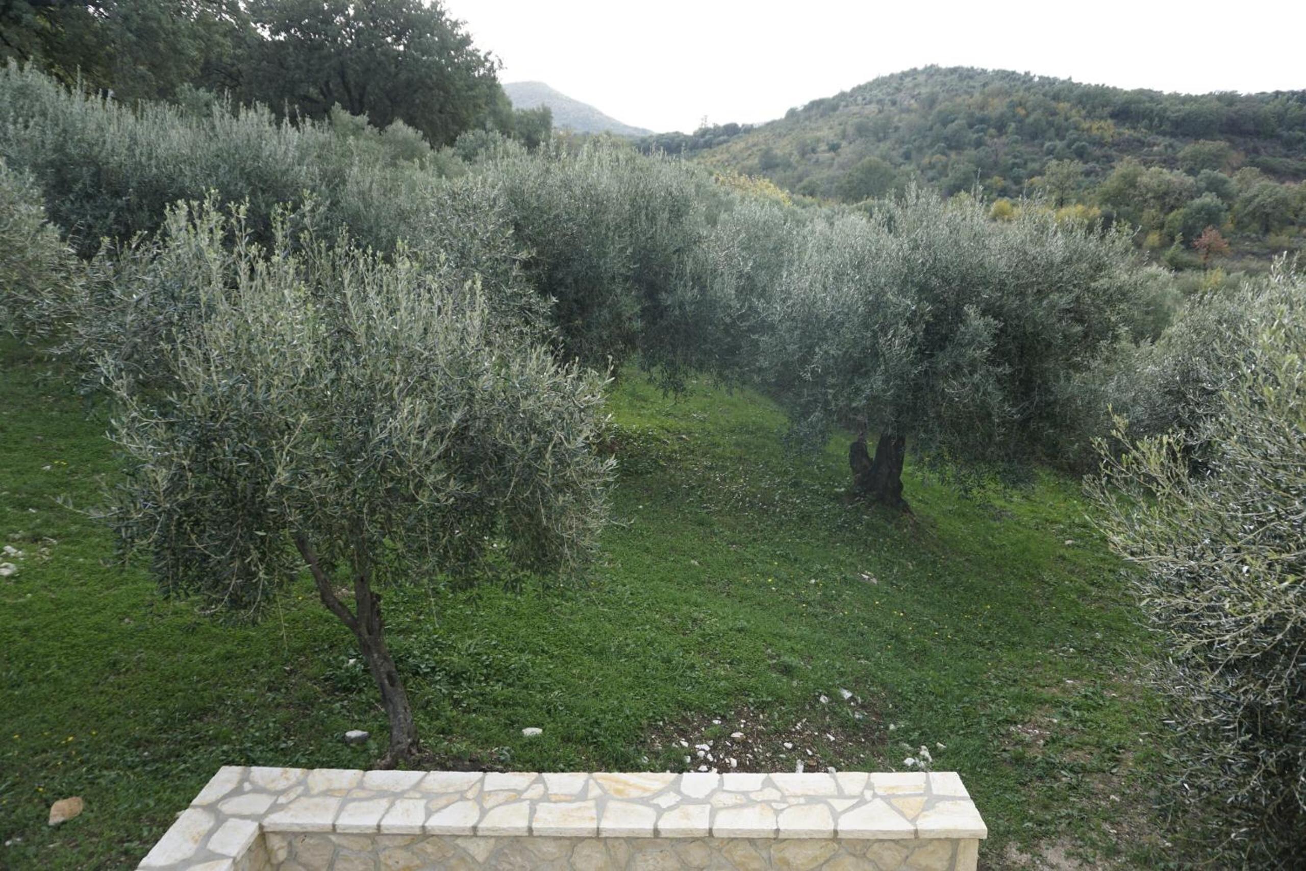Photo 54