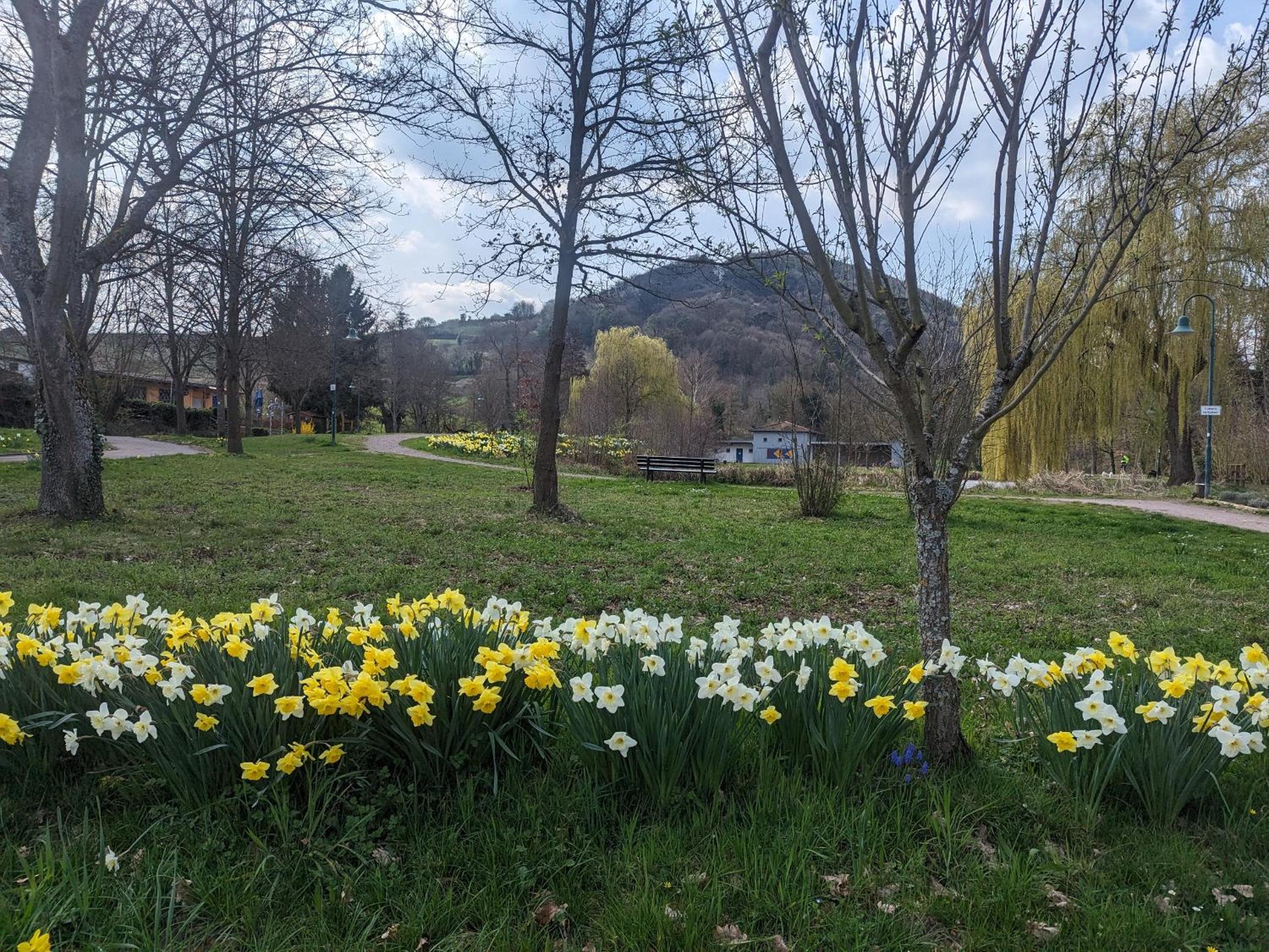 Ferienhaus am Park