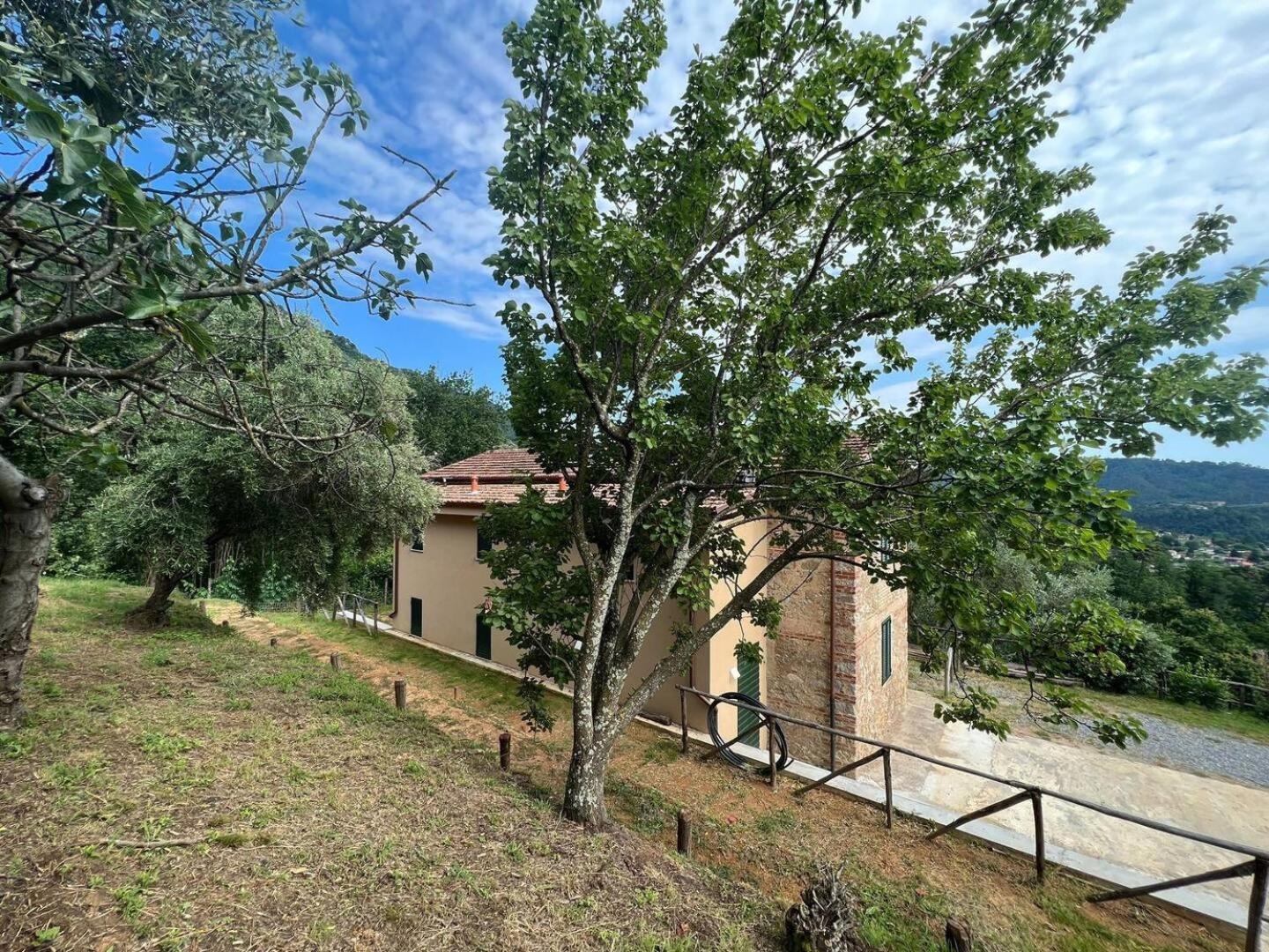Photo 24