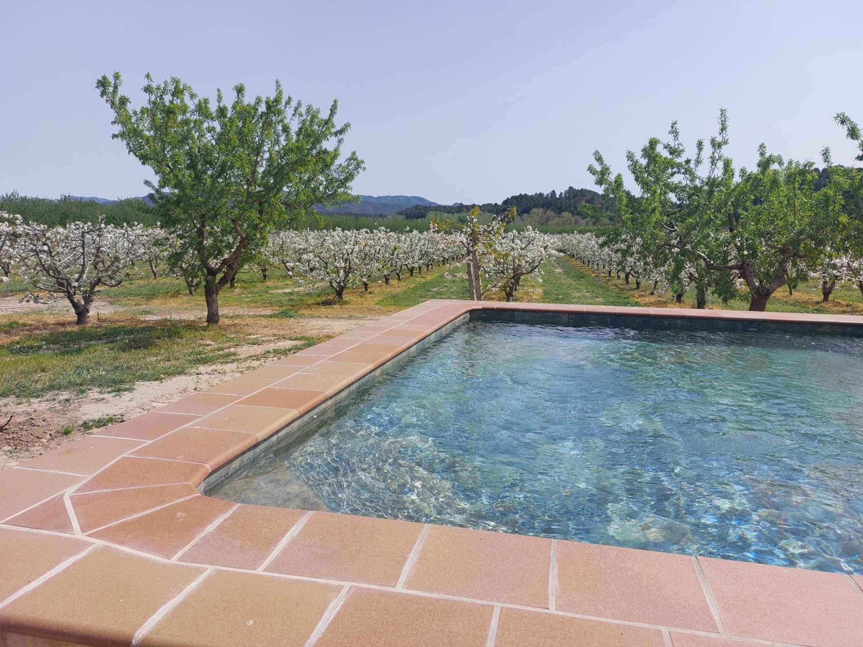 Masia Rural L'Hort de Maso view 2