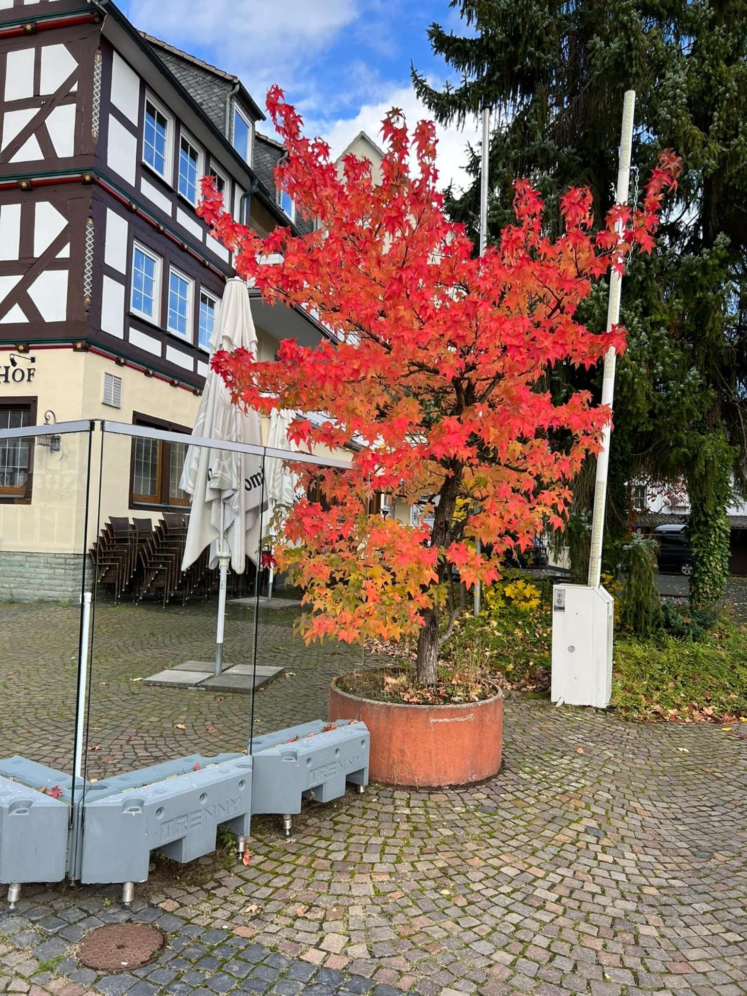 Hotel Wittgensteiner Hof