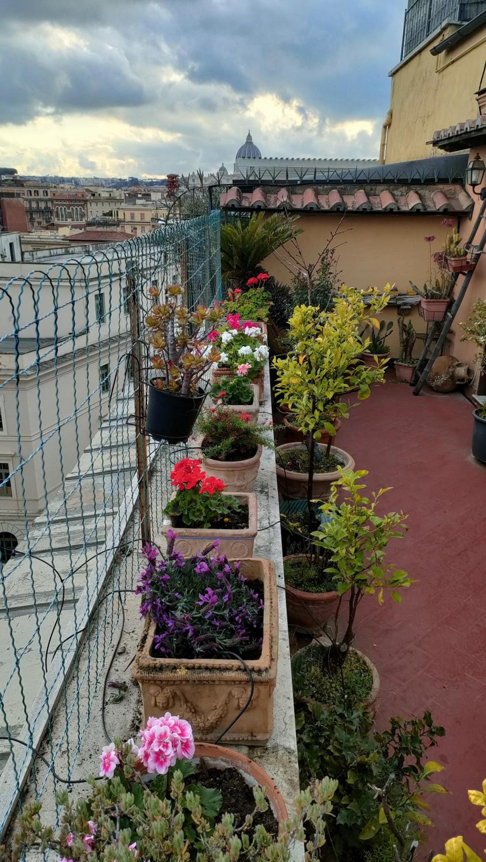 roof