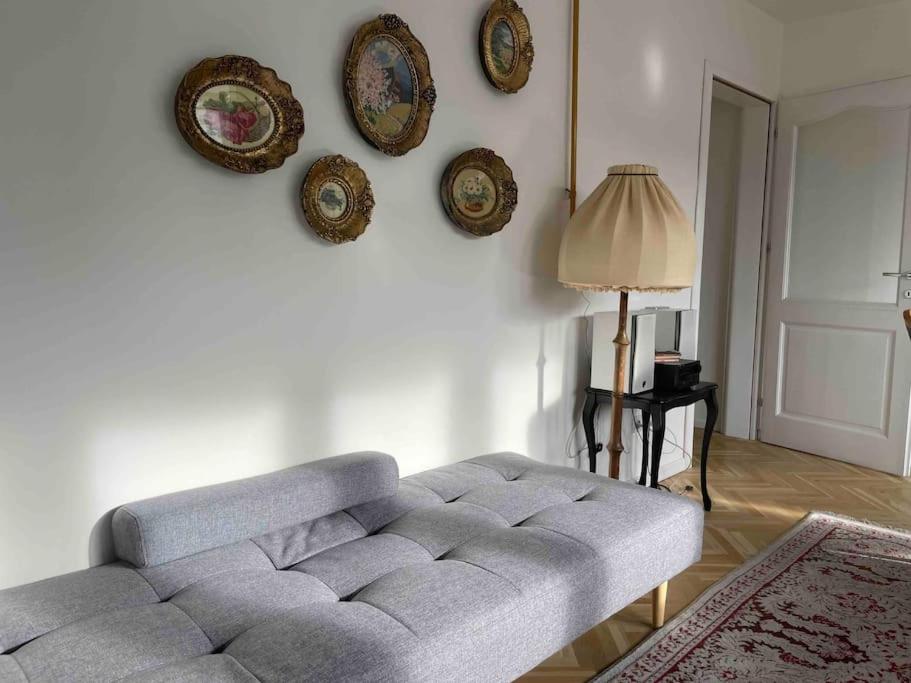 Newly renovated apartment in the heart of city