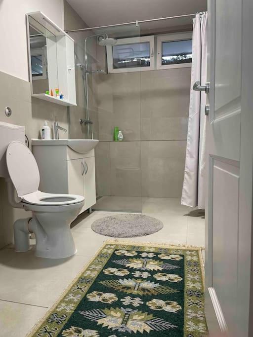 Newly renovated apartment in the heart of city