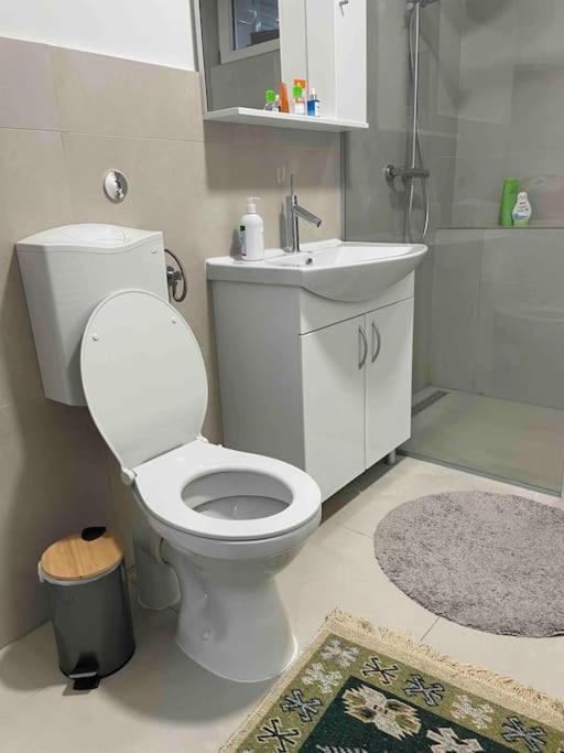 Newly renovated apartment in the heart of city