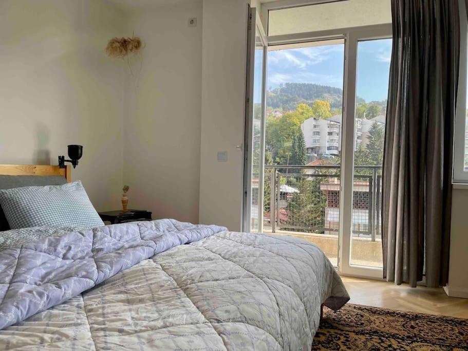 Newly renovated apartment in the heart of city