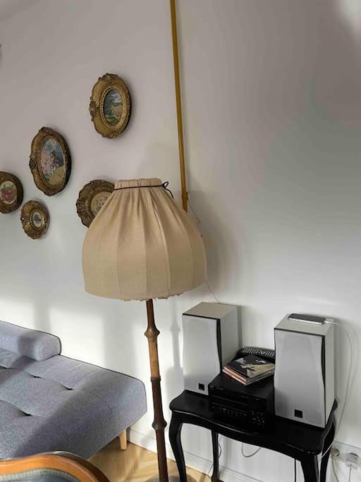 Newly renovated apartment in the heart of city