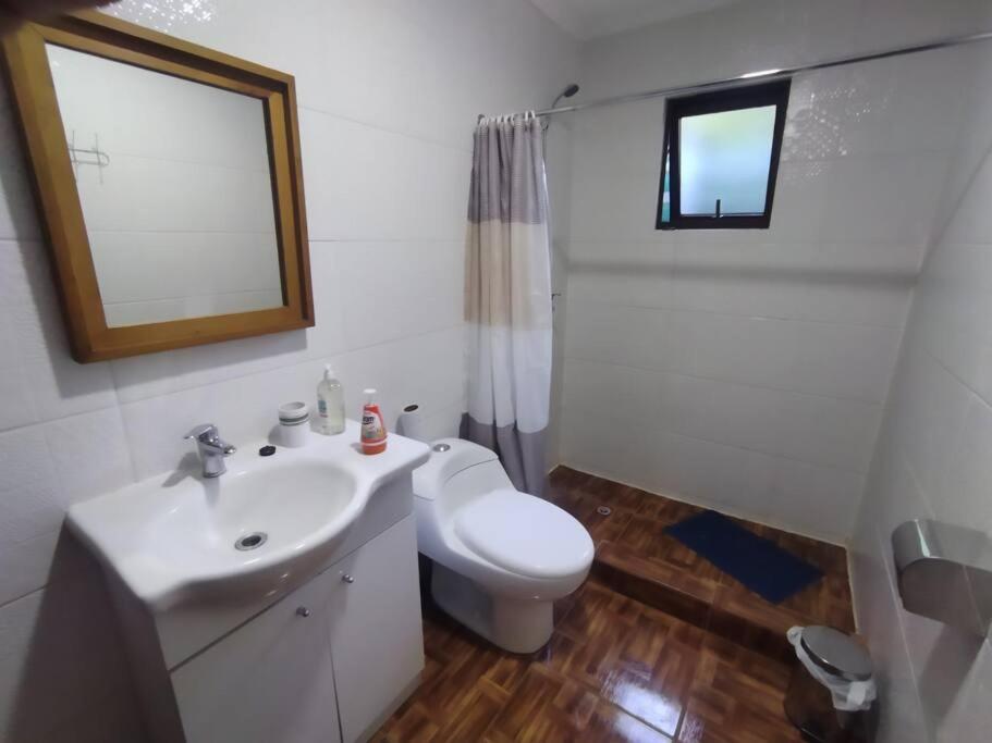 Chalet Valdivia