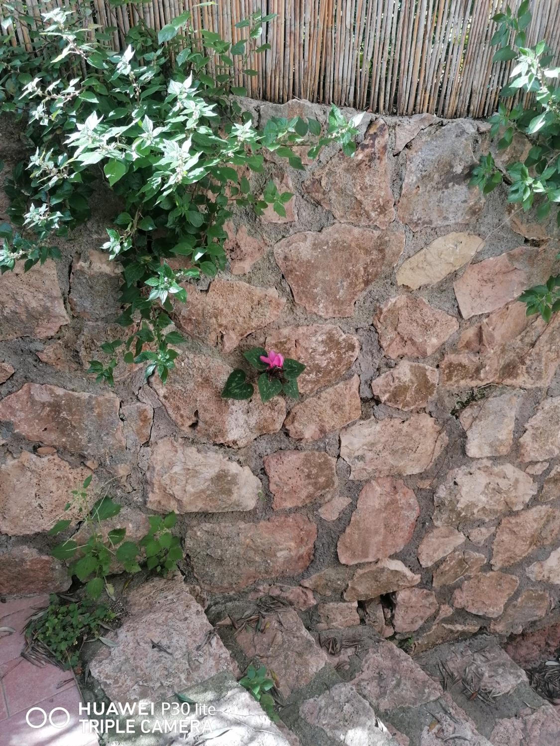 Panoramica Flat view 5
