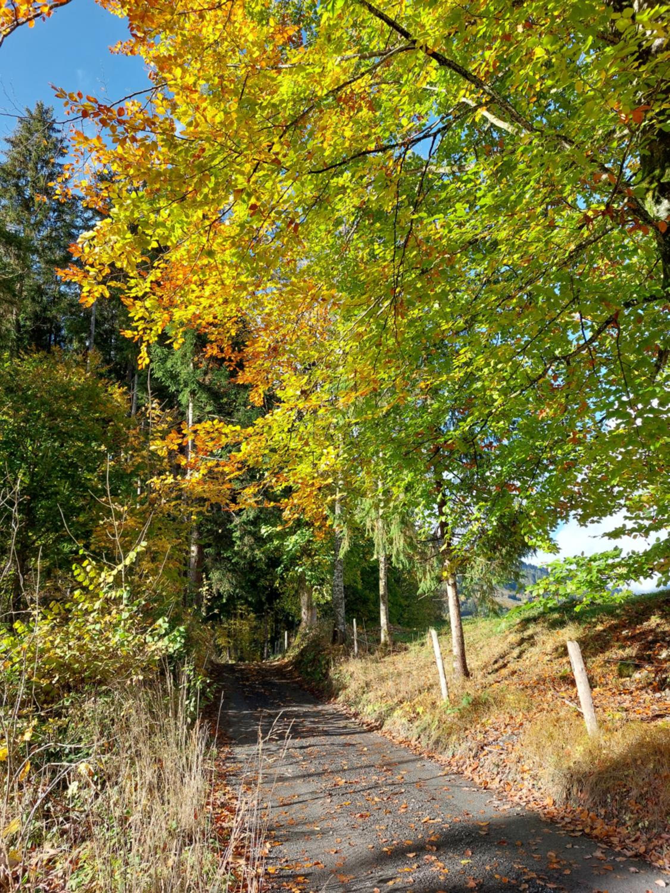 Chalet Schwaiberg