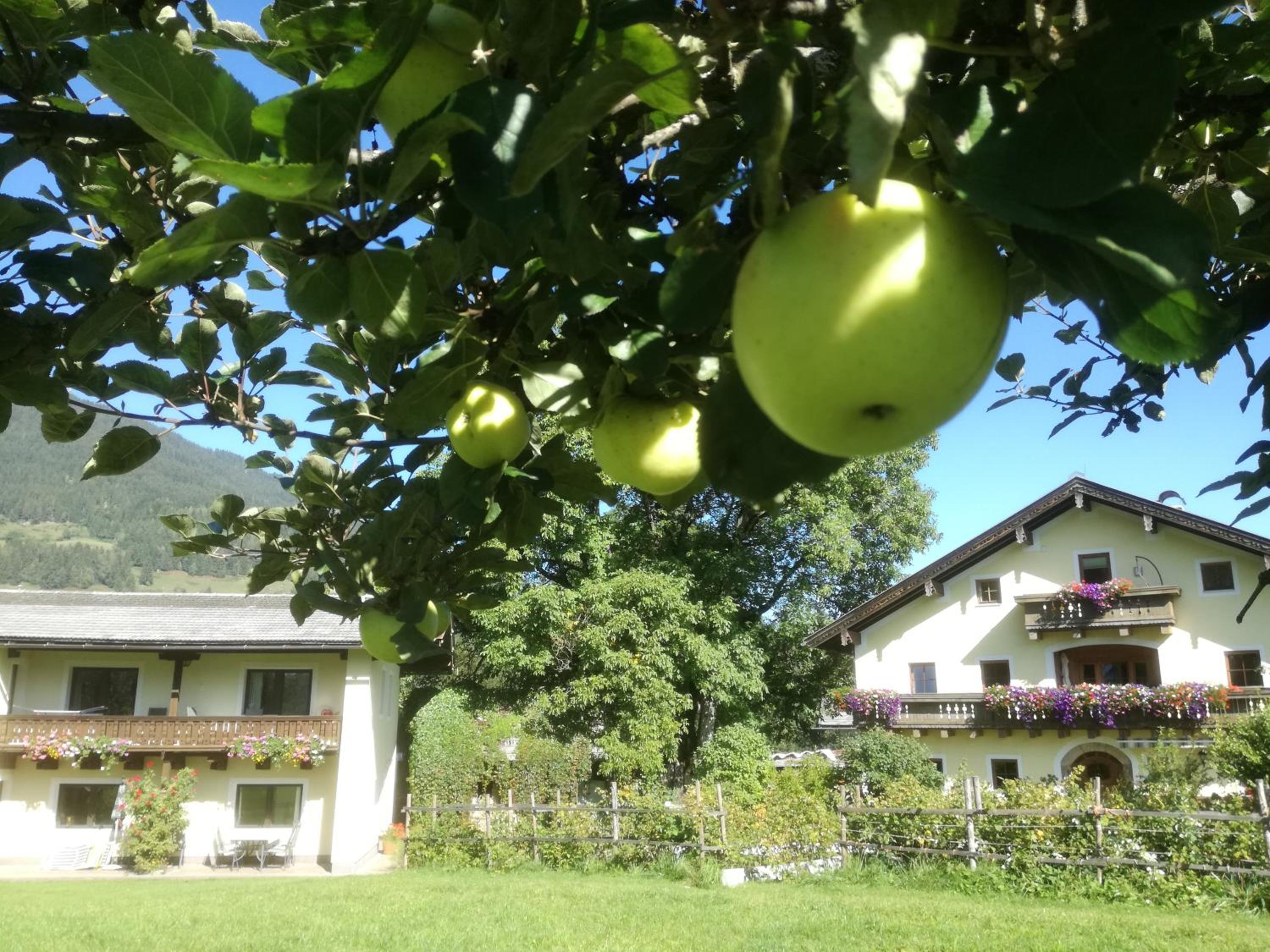 Chalet Schwaiberg