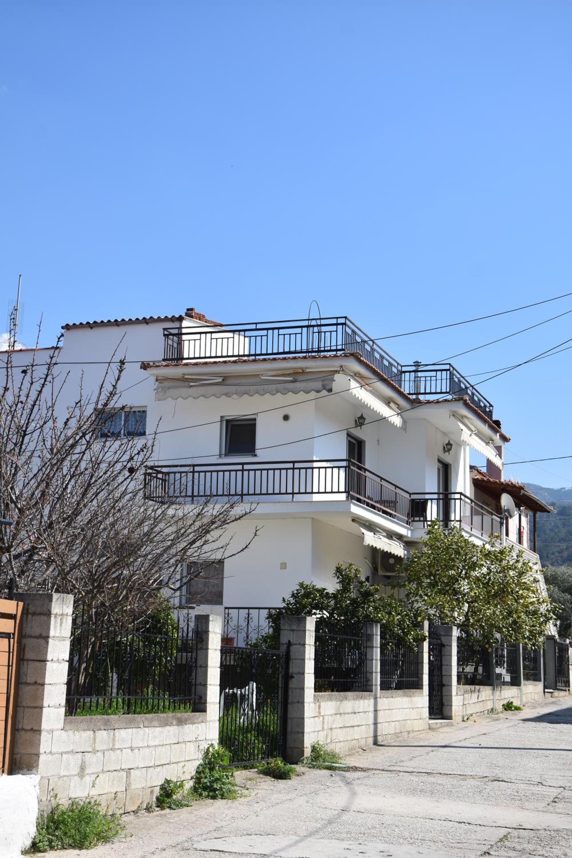 Photo 11