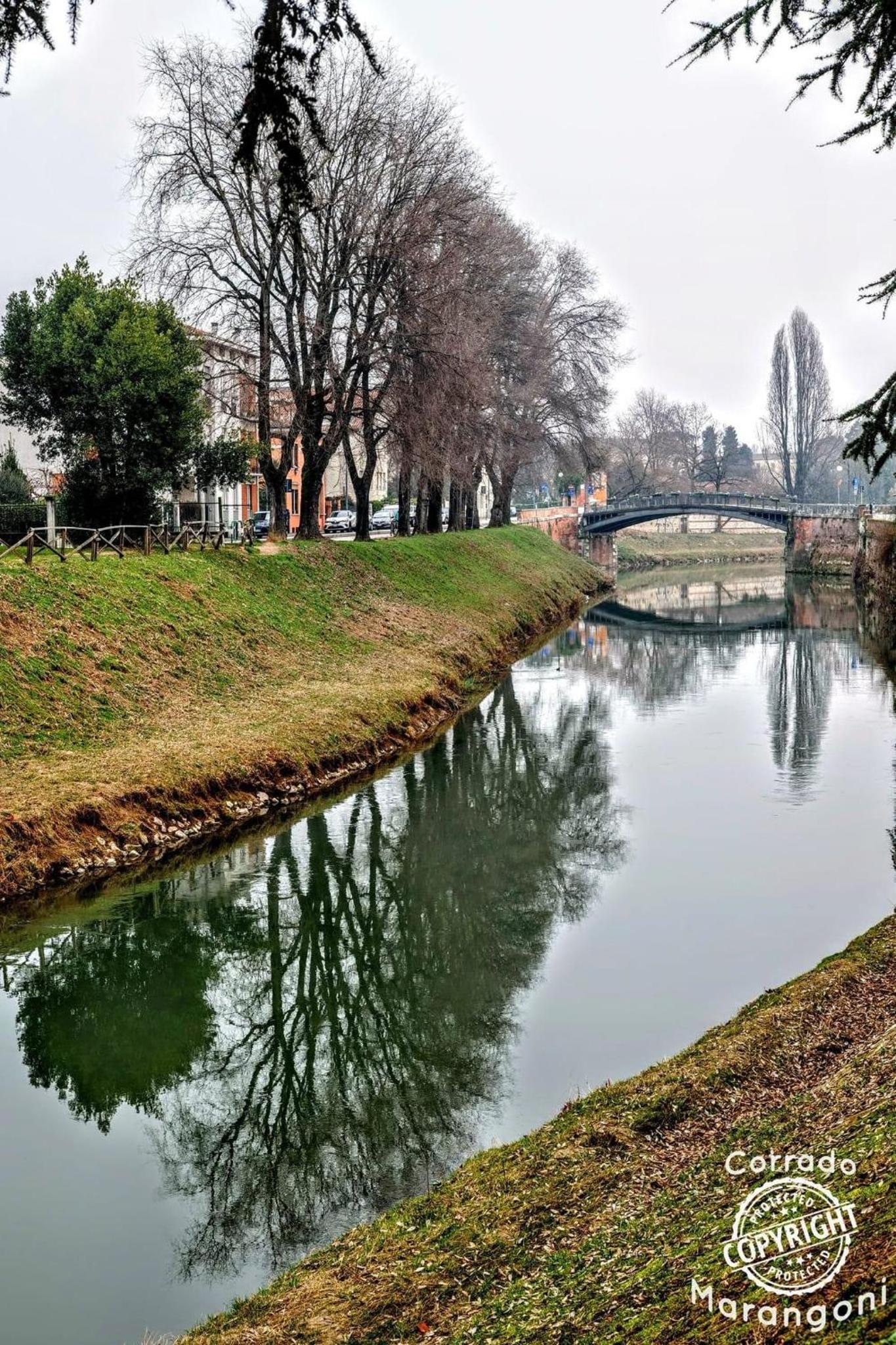 Liberty Dream, fascino a Vicenza
