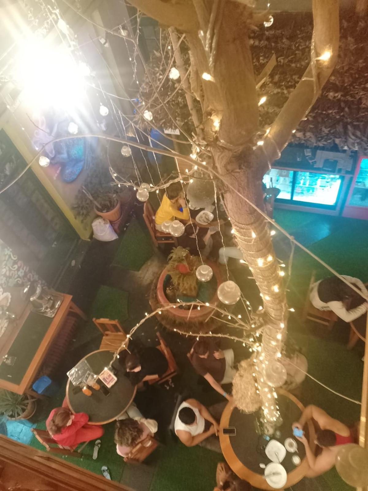 SAINT PETER'S LLAMA HOSTAL