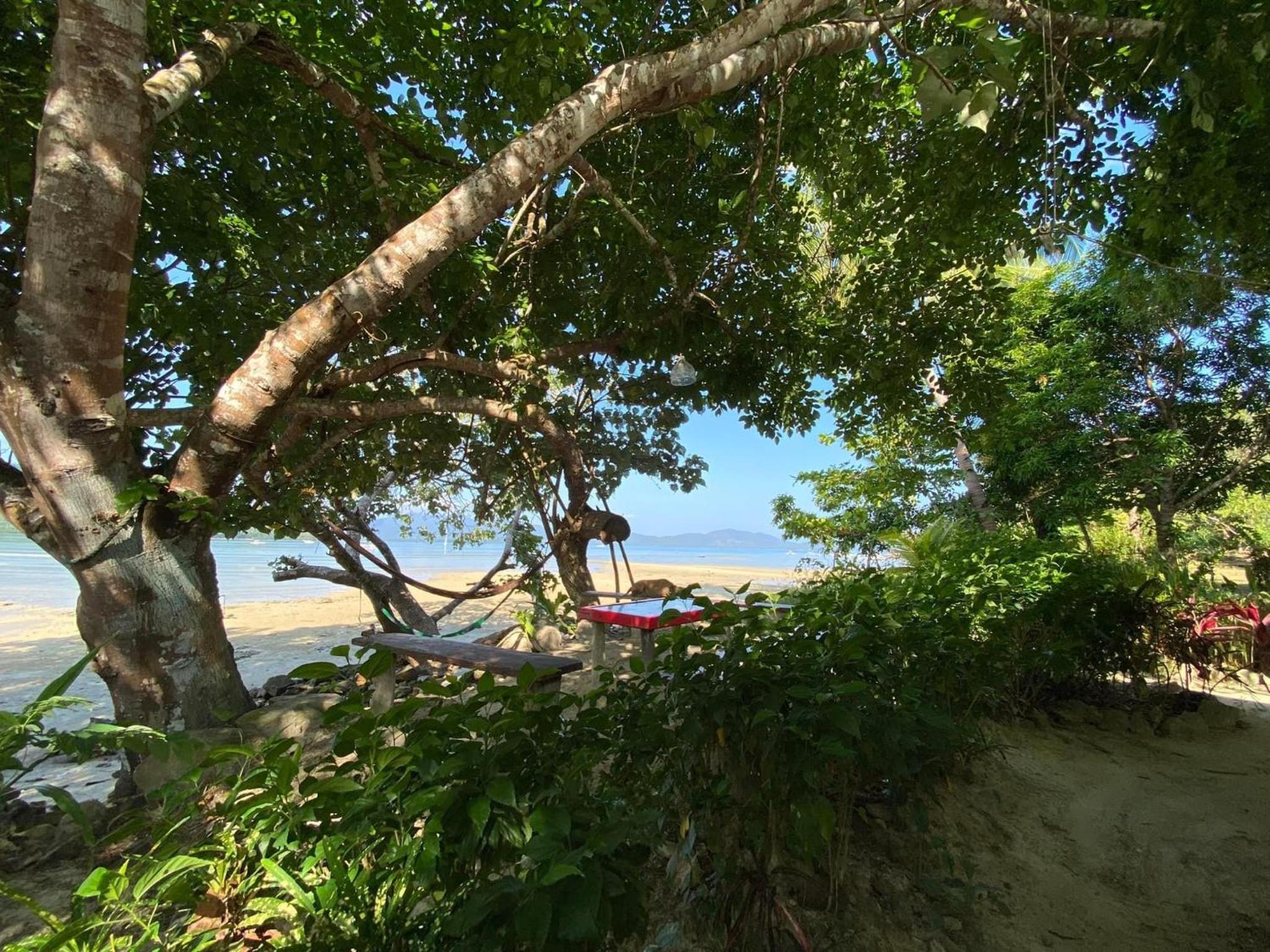 Port Barton - Paradiso Azul Campsite Beachfront with Internet