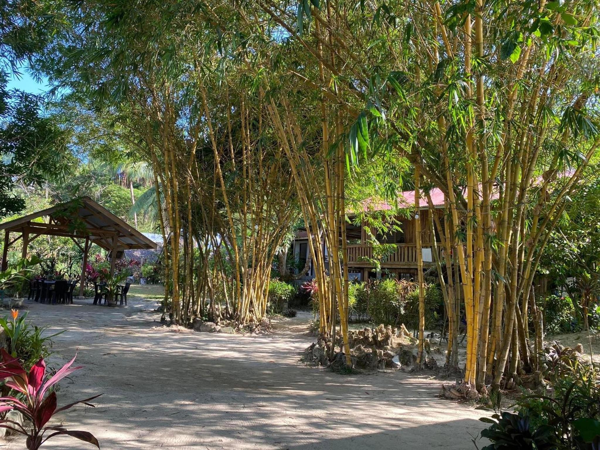 Port Barton - Paradiso Azul Campsite Beachfront with Internet