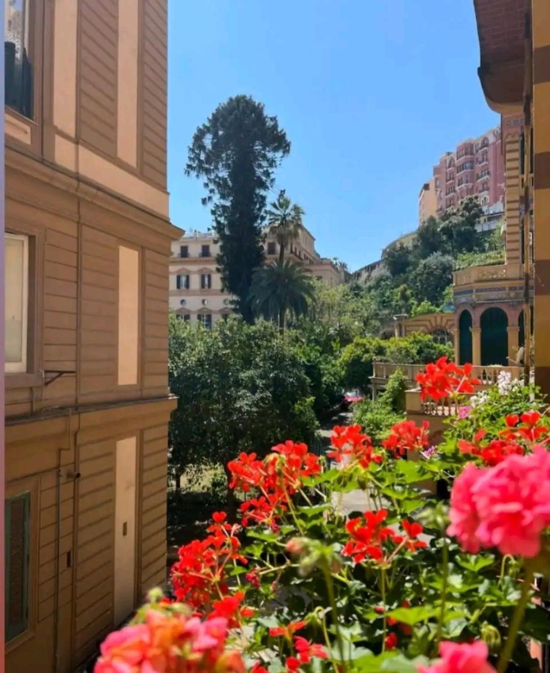 Home Margherita