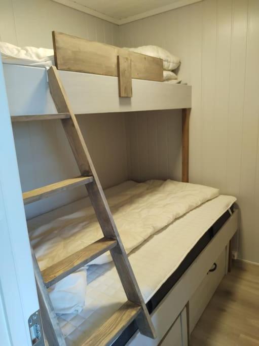 Utleieleilighet 4 sengeplasser Ski inn og ut view 2