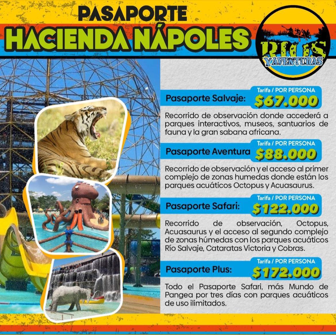 Hospedaje Luz d' Luna