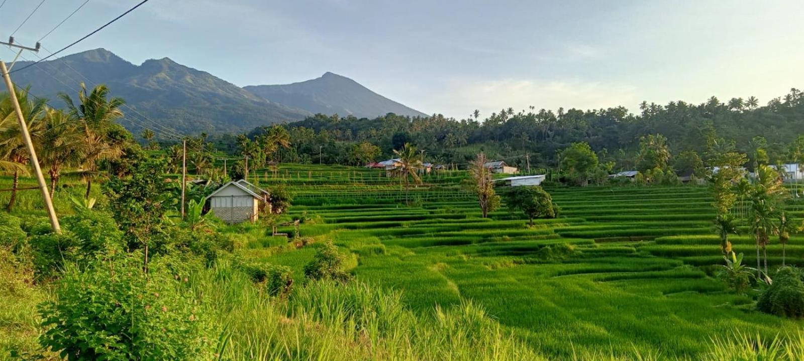 Bayan Exotic Homestay