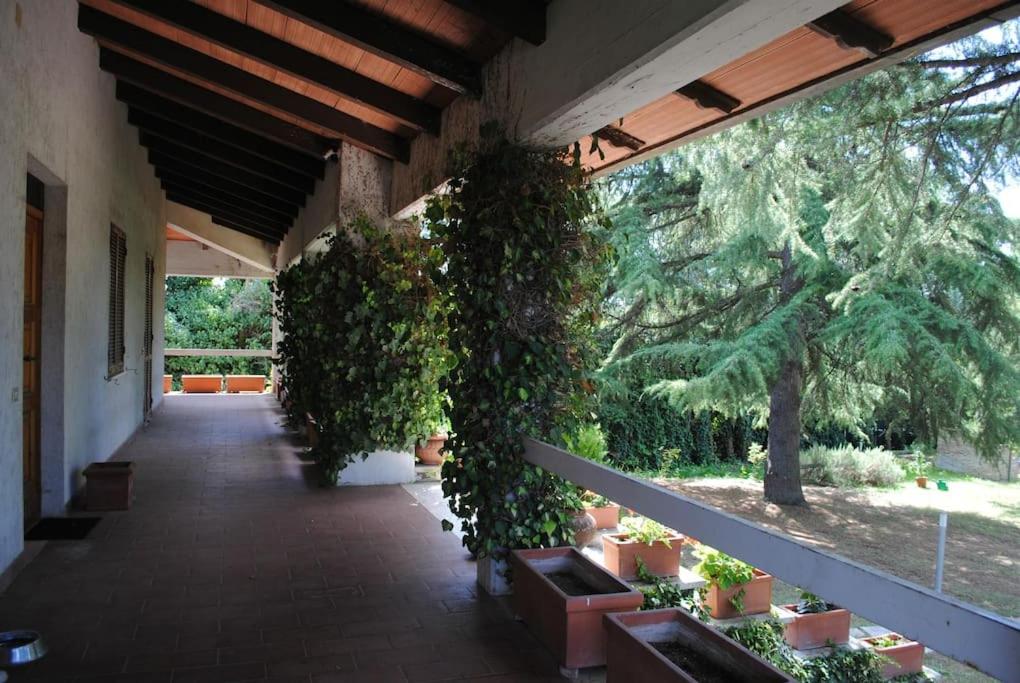 VILLA MOLINI view 3