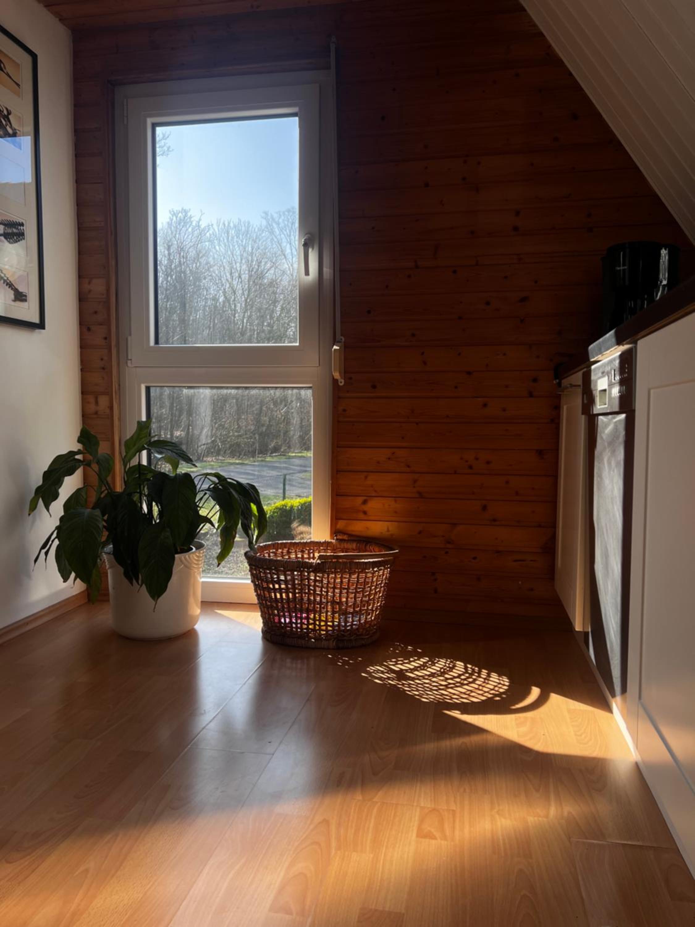 Ferienwohnung am Waldrand