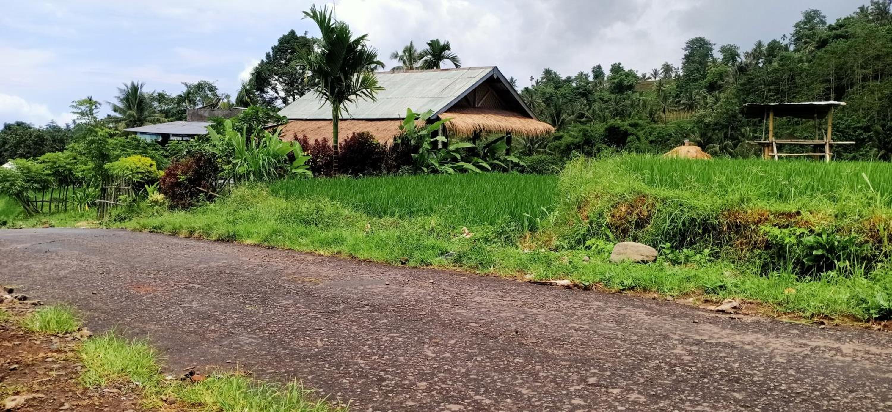 Bayan Exotic Homestay