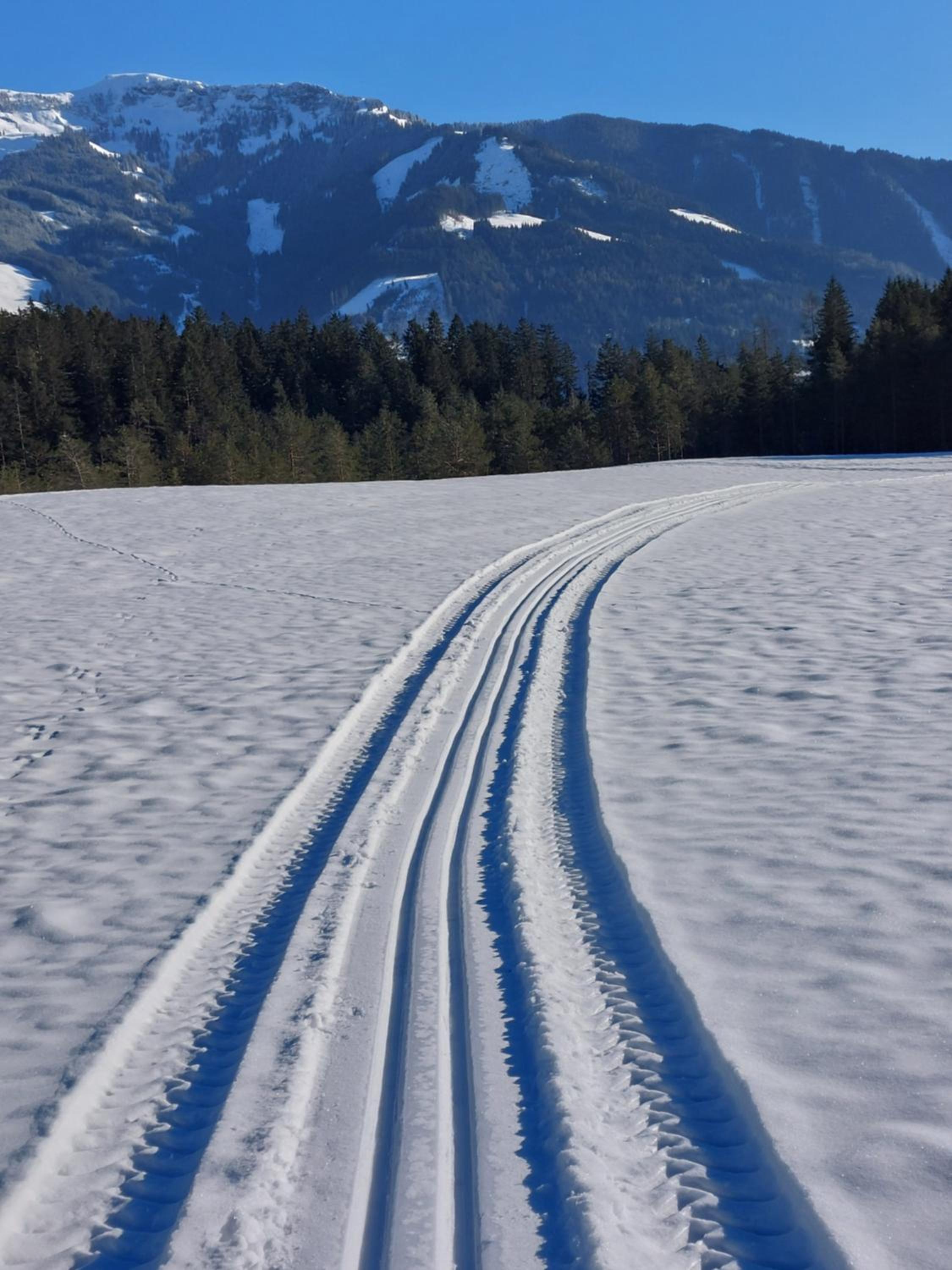 Chalet Schwaiberg