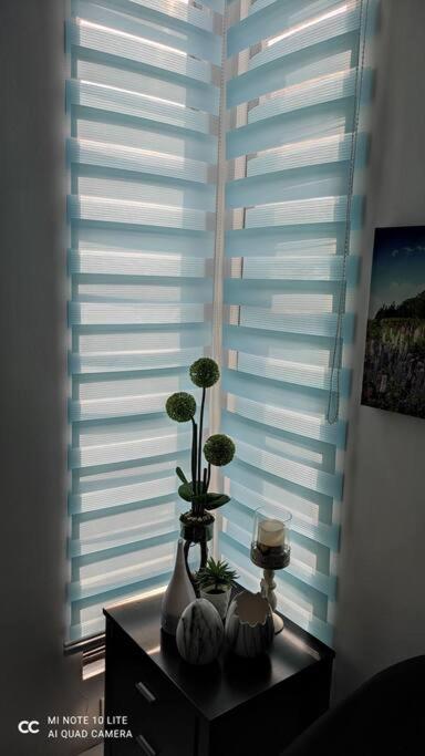 Complete Haven of breeze and comfort view 5