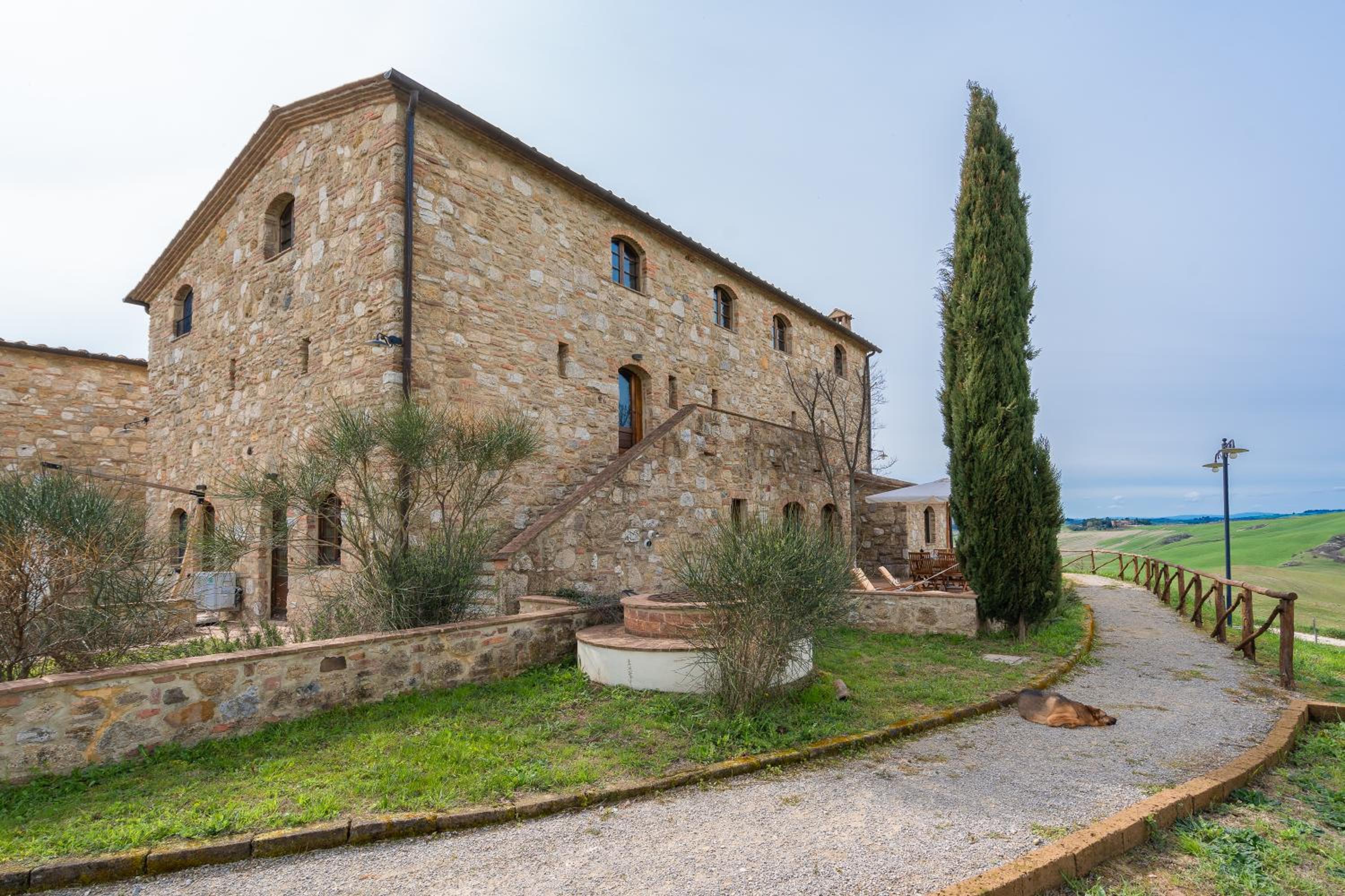 Il Cipresso del Fossaccio