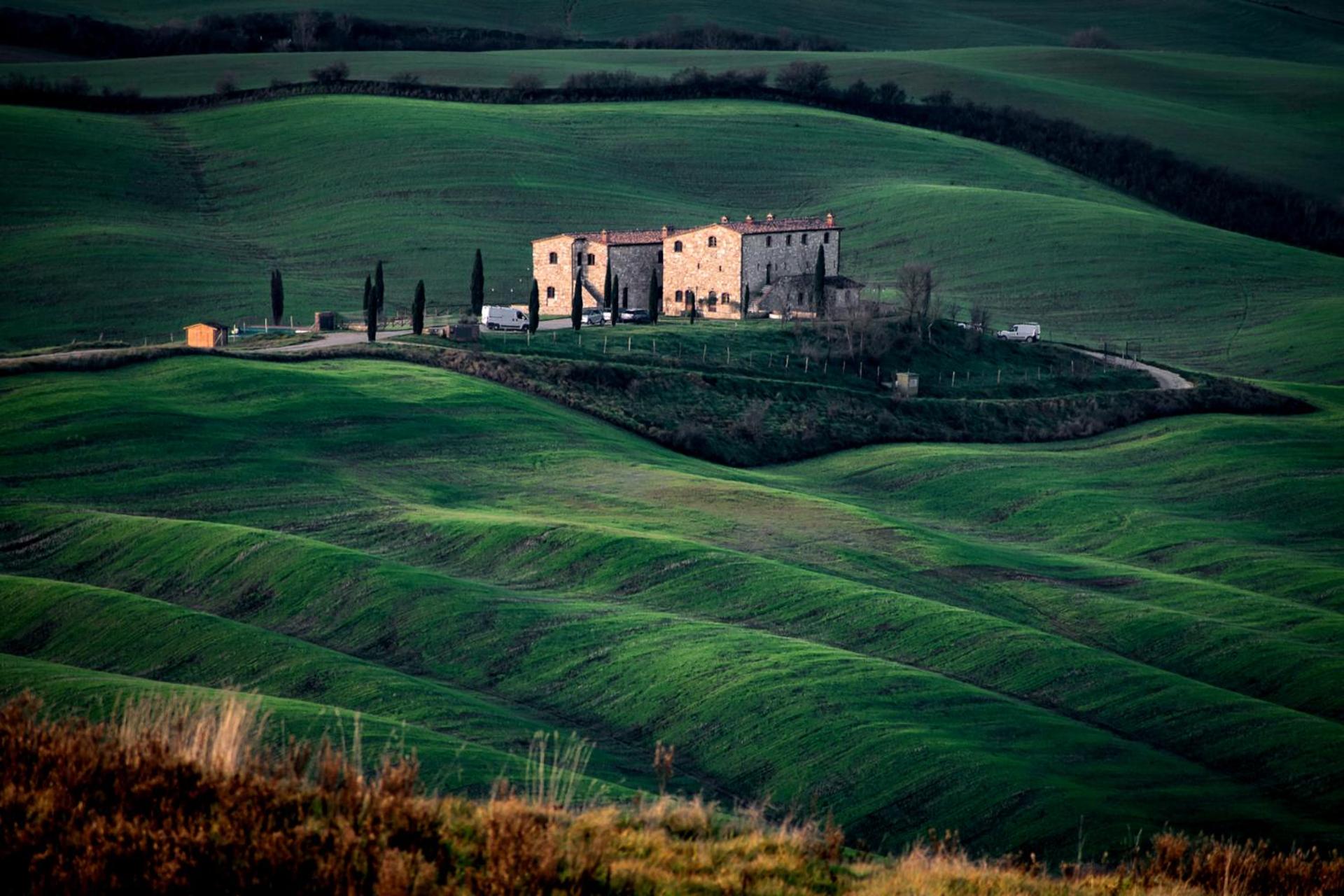 Il Cipresso del Fossaccio