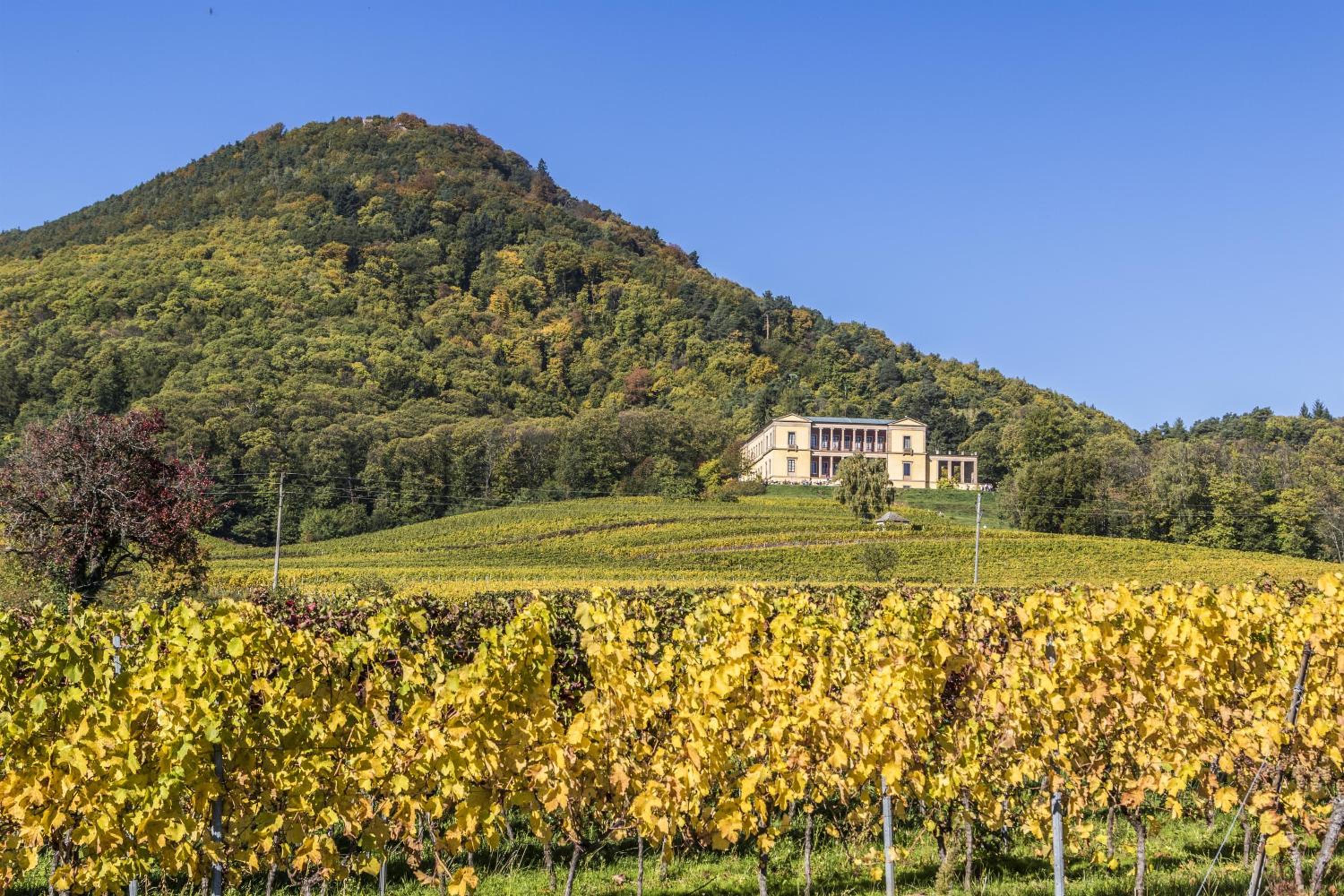 Villa Kunterbunt en Weyher