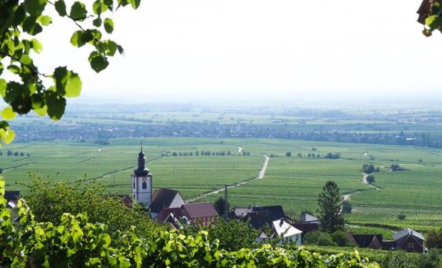 Villa Kunterbunt en Weyher