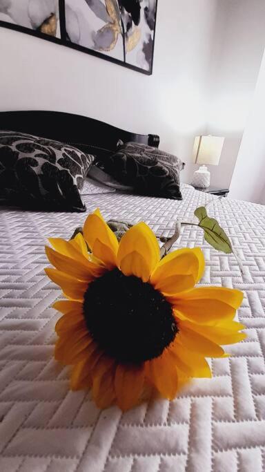 Apartamento Turístico En Calarcá Quindío a 10 min de Armenia