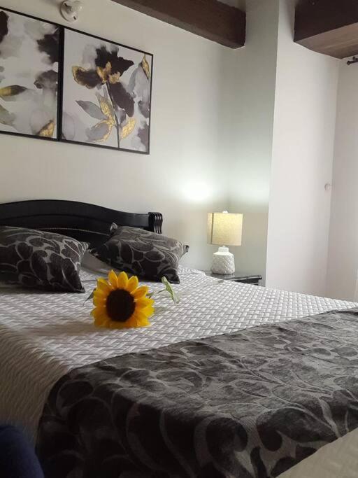 Apartamento Turístico En Calarcá Quindío a 10 min de Armenia