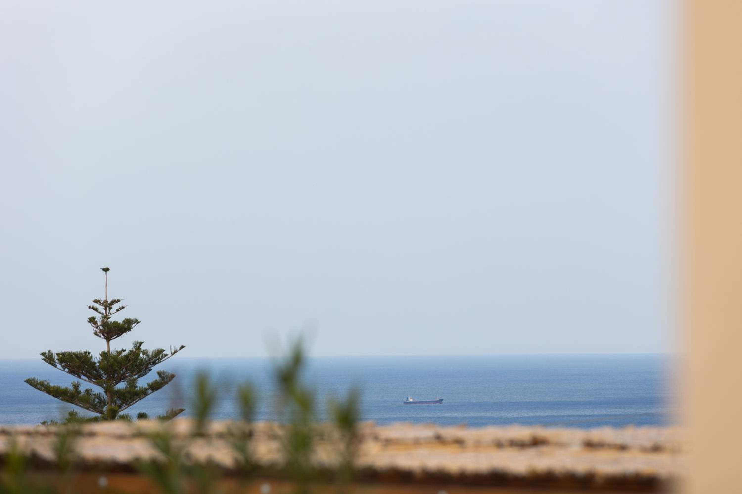 Olive Apartment Crete photo 4