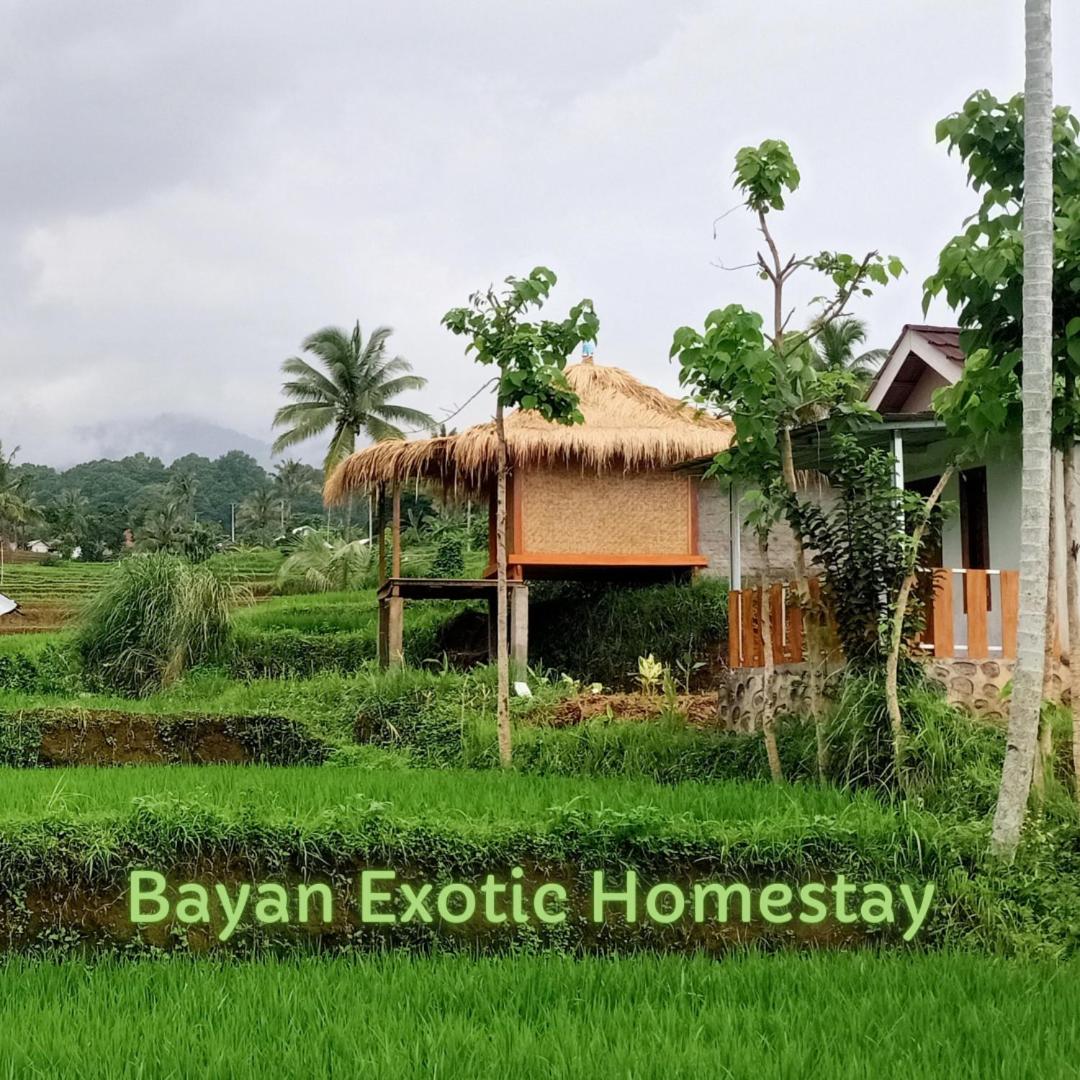 Bayan Exotic Homestay